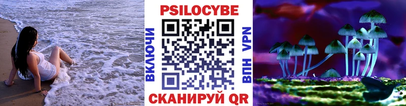 Псилоцибиновые грибы ЛСД  mega зеркало  даркнет наркотические препараты  Ростов 